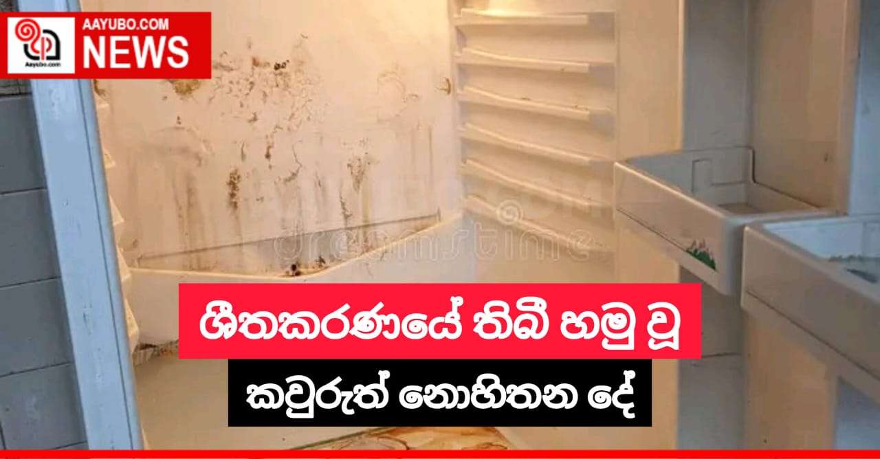 ශීතකරණයේ තිබී හමු වූ කවුරුත් නොහිතන දේ