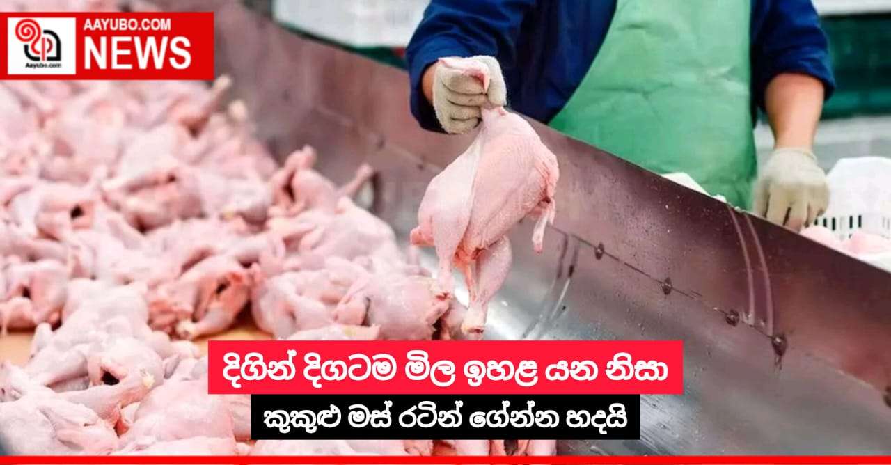දිගින් දිගටම මිල ඉහළ යන නිසා කුකුළු මස් රටින් ගේන්න හදයි