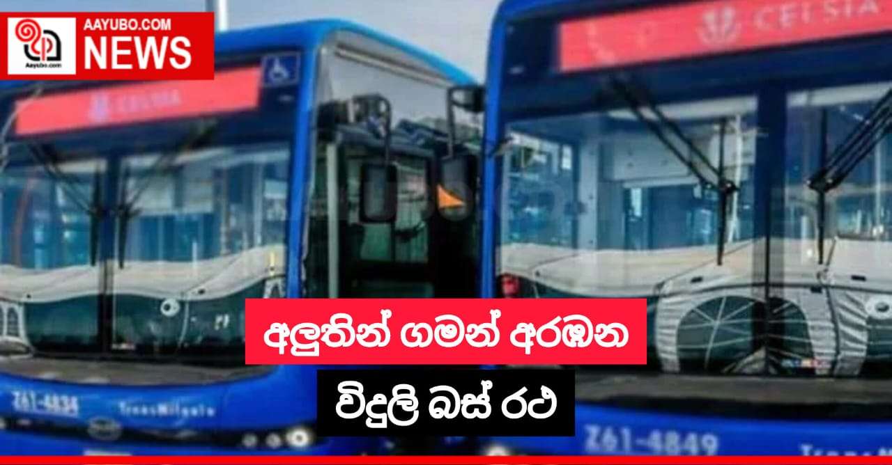 අලුතින් ගමන් අරඹන විදුලි බස් රථ