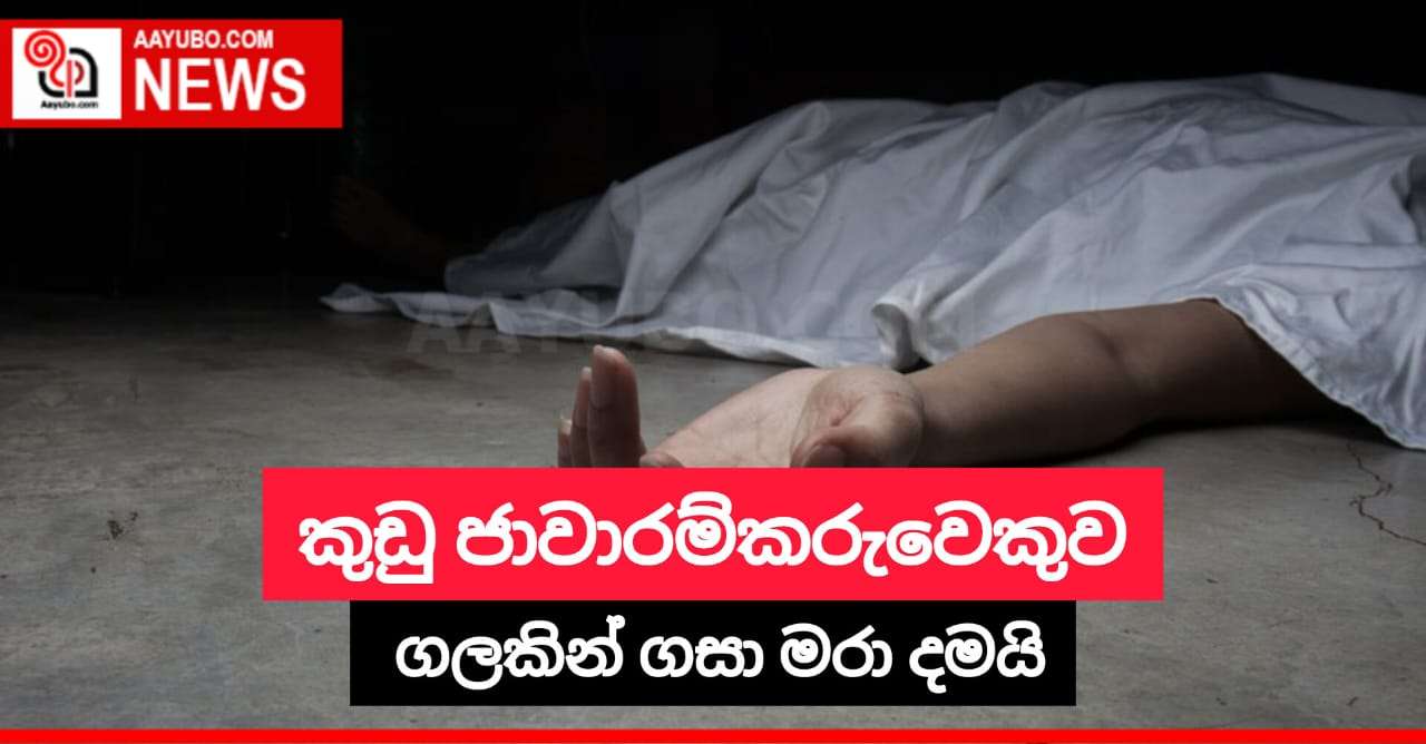 කුඩු ජාවාරම්කරුවෙකුව ගලකින් ගසා මරා දමයි