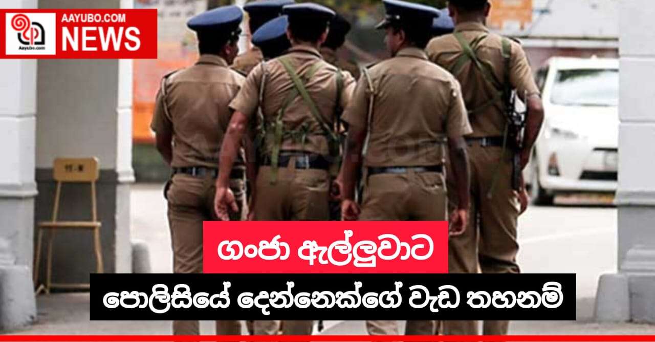 ගංජා ඇල්ලුවාට පොලිසියේ දෙන්නෙක්ගේ වැඩ තහනම්