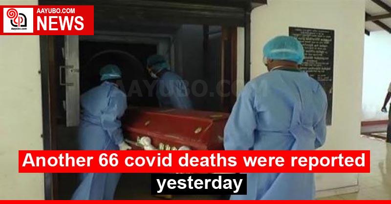 Another 66 covid deaths were reported yesterday