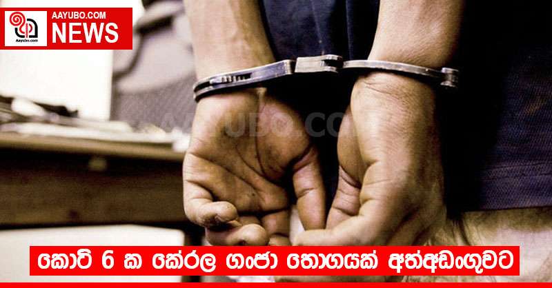 කොටි 6 ක කේරල ගංජා තොගයක් අත්අඩංගුවට