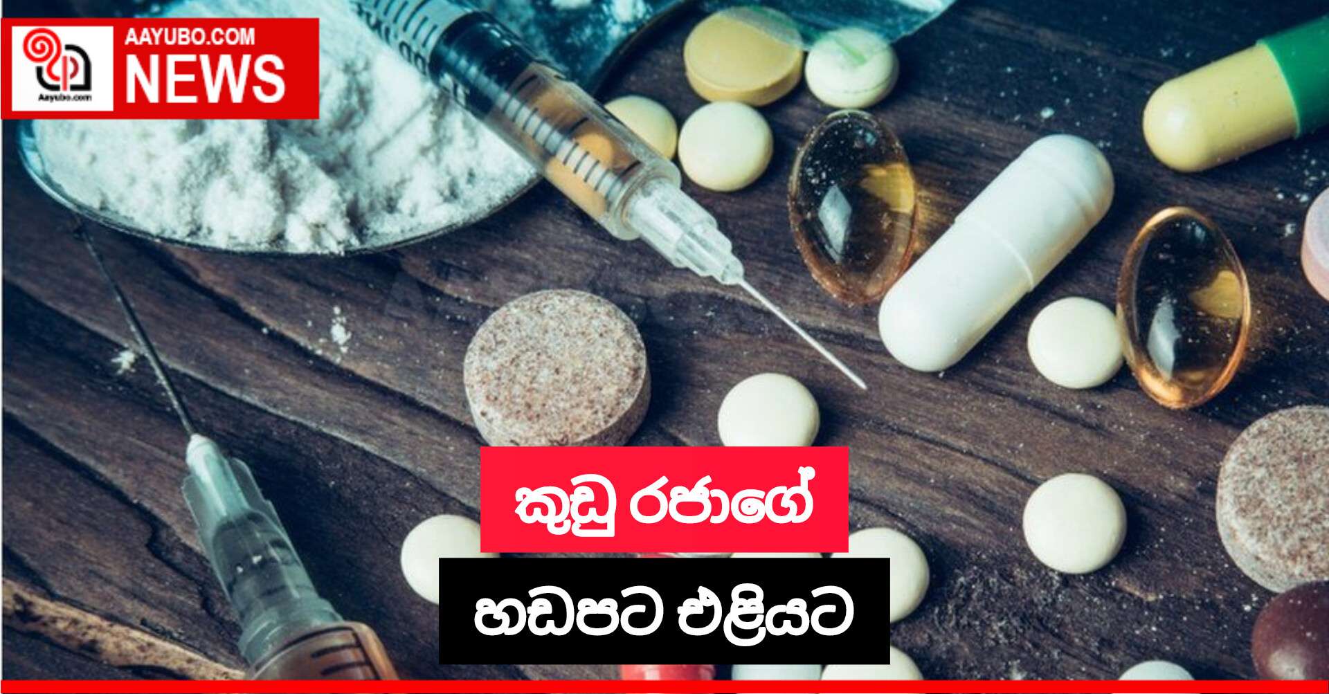 කුඩු රජාගේ හඩපට එළියට