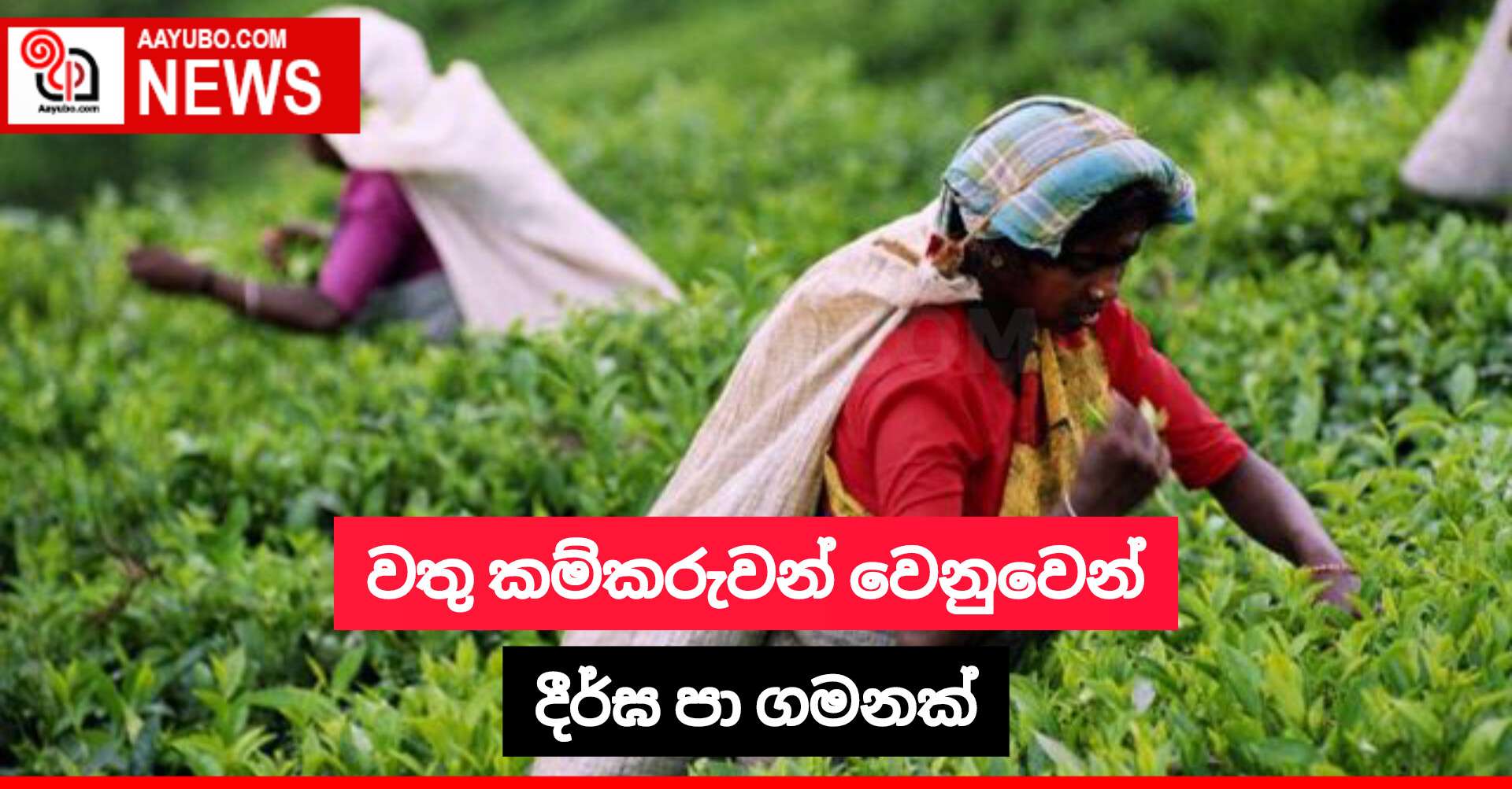 වතු කම්කරුවන් වෙනුවෙන් දීර්ඝ පා ගමනක්