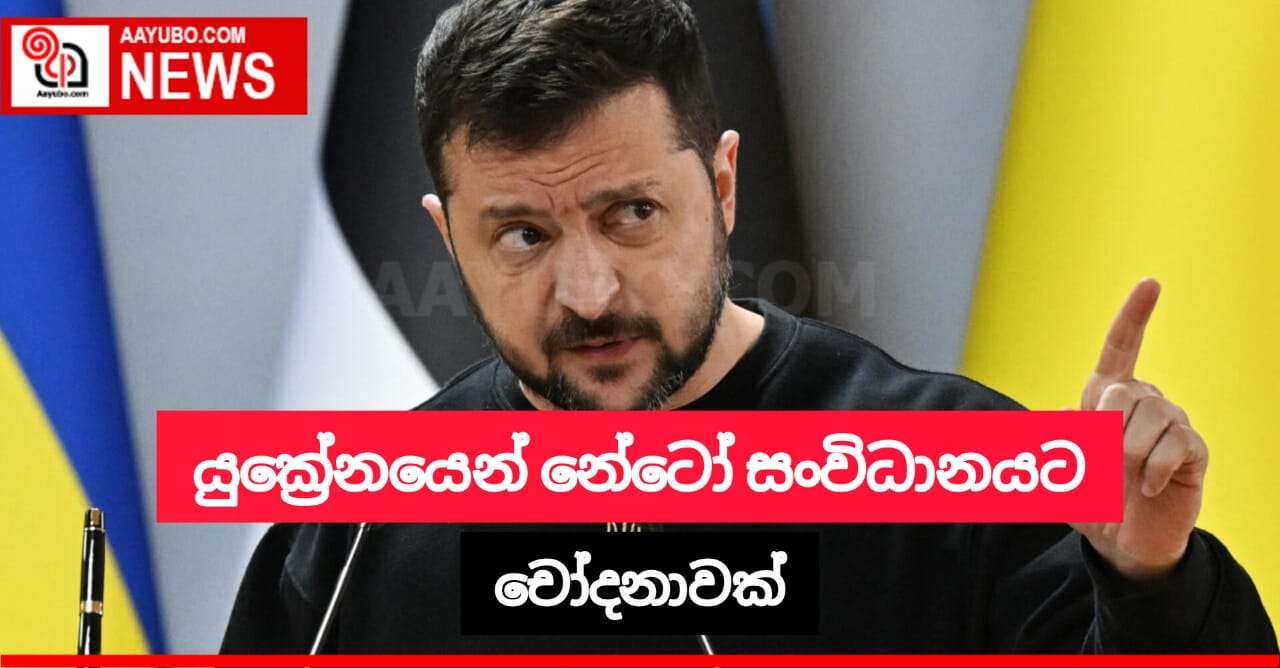 යුක්‍රේන ජනාධිපතිගෙන් නේටෝ සංවිධානයට චෝදනා