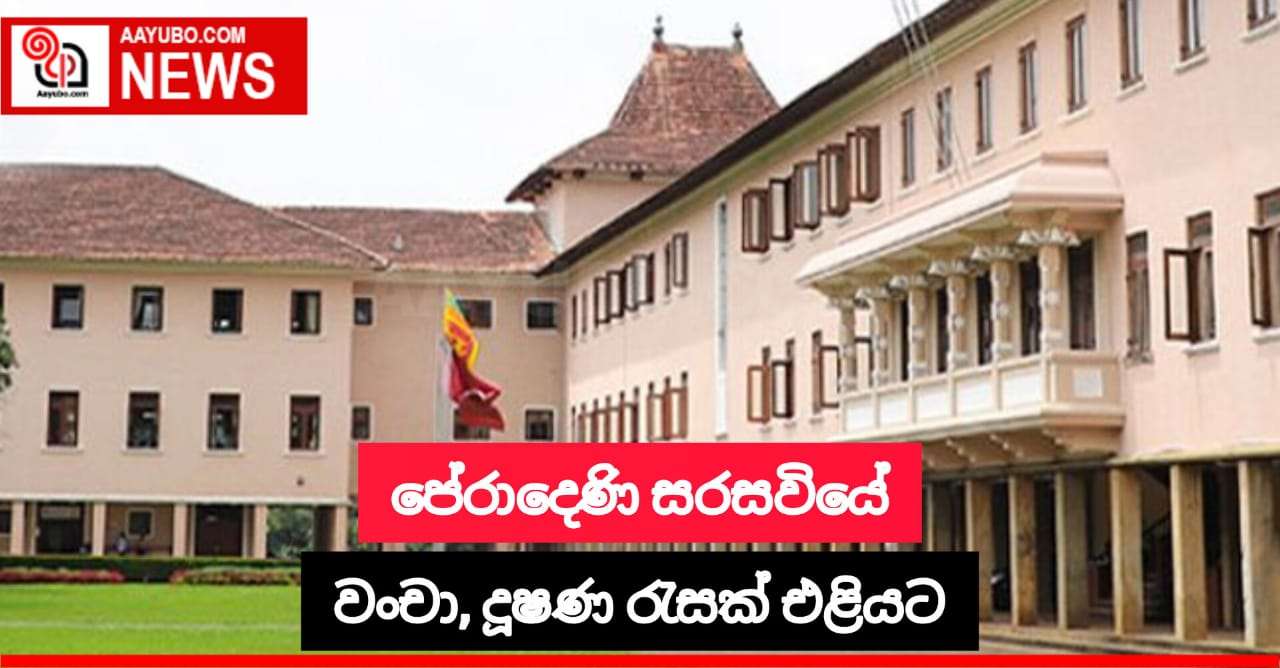  පේරාදෙණි විශ්වවිද්‍යාලයේ පරිපාලන දුර්වලතා සහ අක්‍රමිකතා රැසක් එළියට 