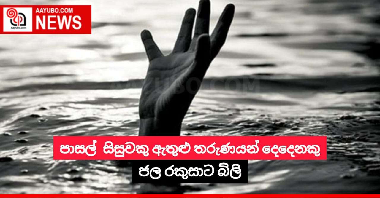 පාසල් සිසුවකු ඇතුළු තරුණයන් දෙදෙනකු ජල රකුසාට බිලි