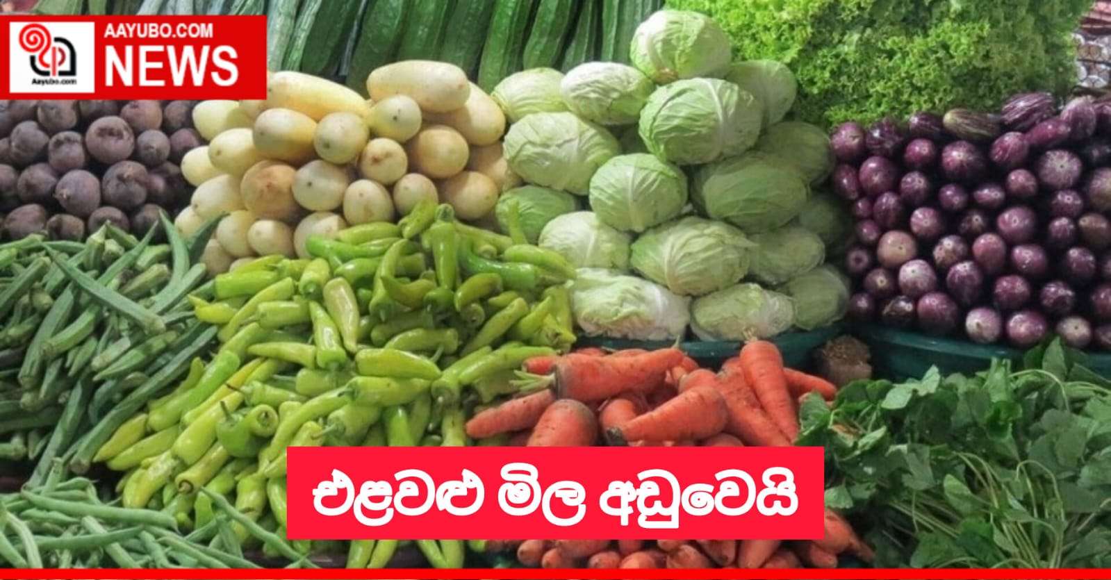 එළවළු මිල අඩුවෙයි