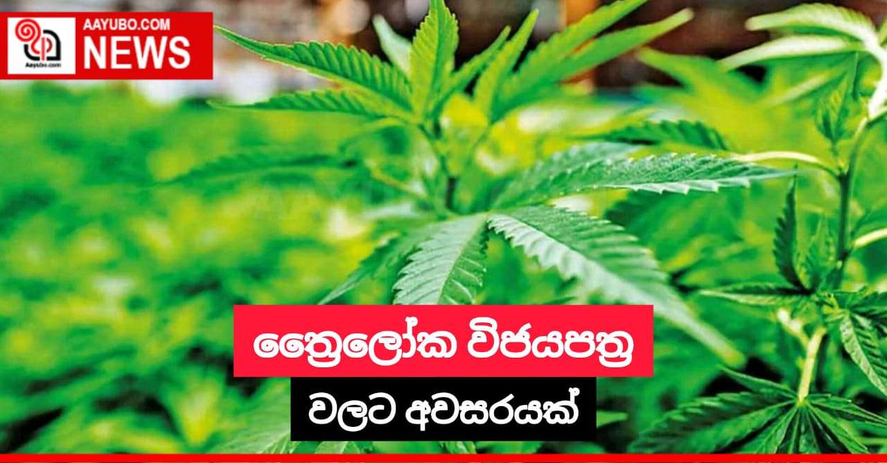ත්‍රෛලෝක විජයපත්‍ර වලට අවසරයක්