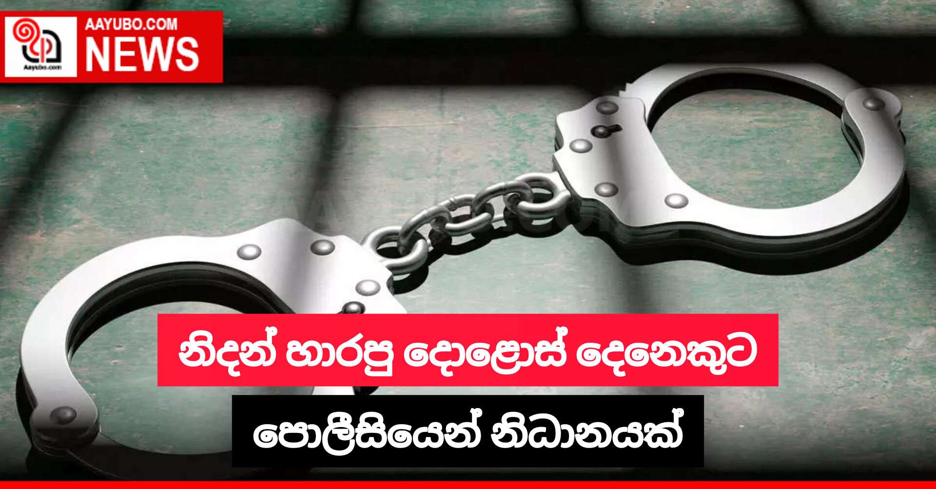 නිදන් හාරපු දොළොස් දෙනෙකුට පොලීසියෙන් නිධානයක්