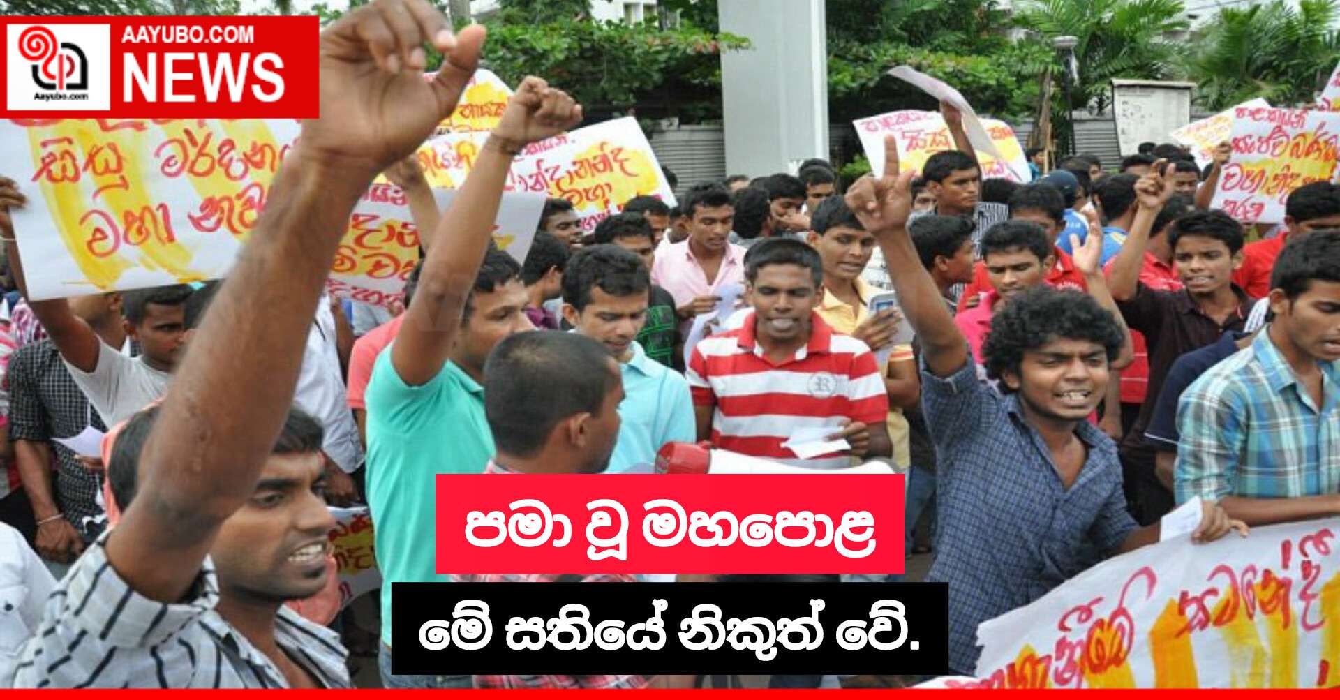 පමා වූ මහපොළ මේ සතියේ නිකුත් වේ.