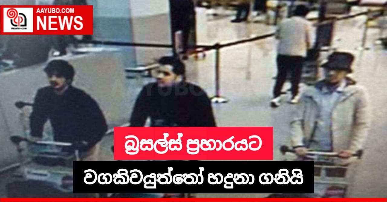 බ්‍රසල්ස් බෝම්බ ප්‍රහාරයට වගකිව යුත්තන්ට දඬුවම් නියම වෙයි