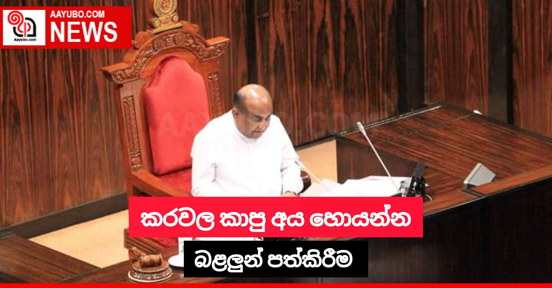 කරවල කාපු අය හොයන්න බළලුන් පත්කිරීම 