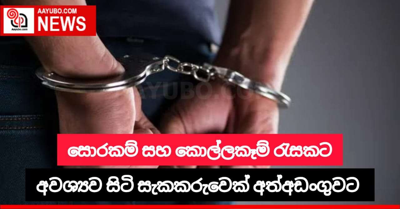 සොරකම් සහ කොල්ලකෑම් රැසකට අවශ්‍යව සිටි සැකකරුවෙකු අත්අඩංගුවට
