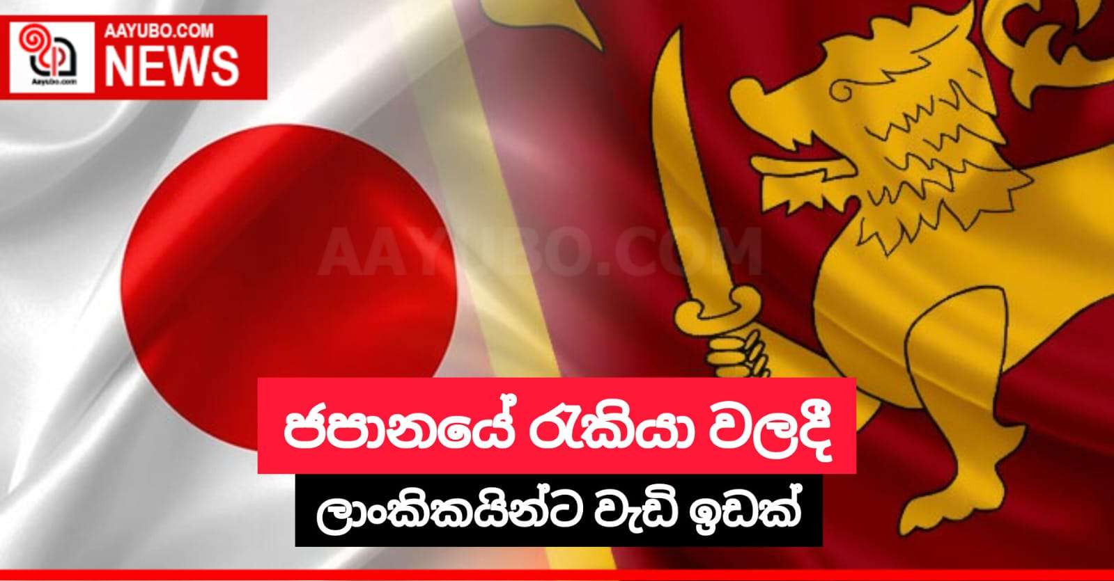 ජපානයේ රැකියා වලදී ලාංකිකයින්ට වැඩි ඉඩක්
