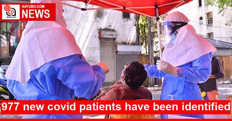 977 new covid patients have been identified