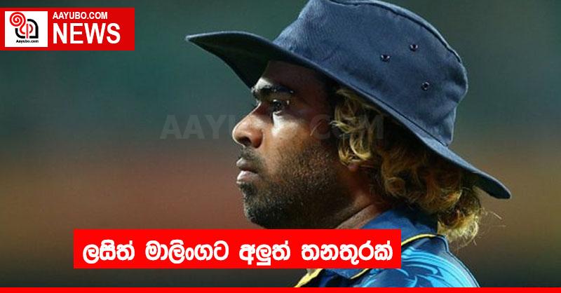 ලසිත් මාලිංගට අලුත් තනතුරක්