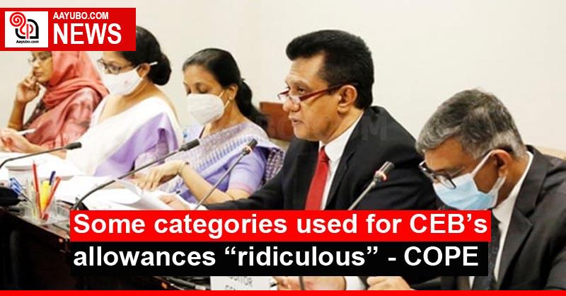 Some categories used for CEB’s allowances “ridiculous” - COPE