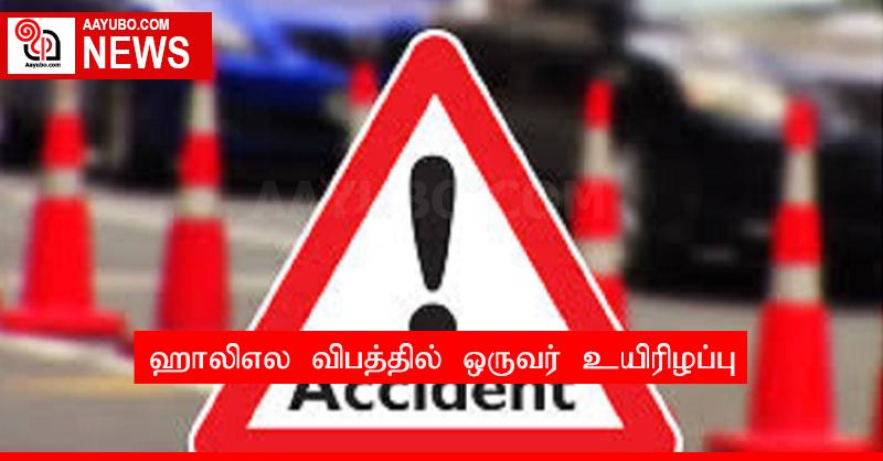 ஹாலிஎல விபத்தில் ஒருவர் உயிரிழப்பு