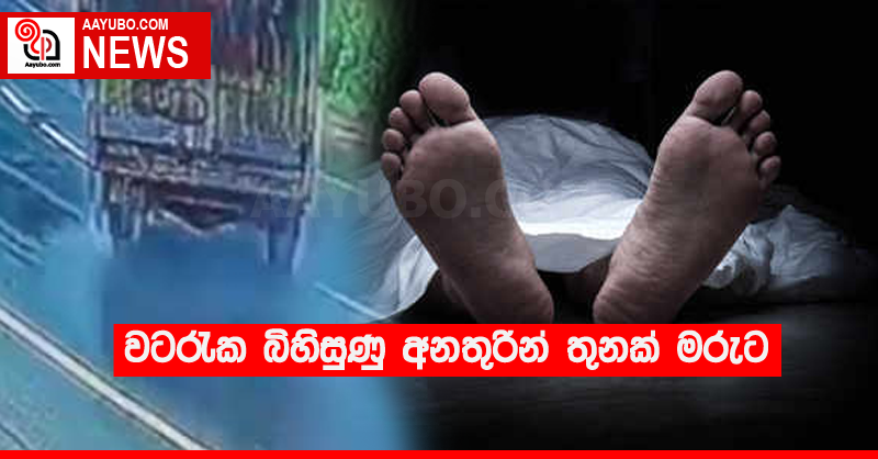 වටරැක බිහිසුණු අනතුරින් තුනක් මරුට