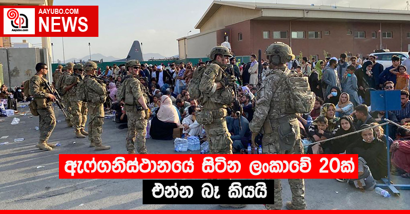 ඇෆ්ගනිස්ථානයේ සිටින ලංකාවේ 20ක් එන්න බෑ කියයි