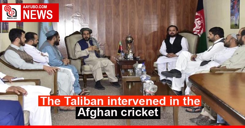 The Taliban Intervened In The Afghan Cricket 6885