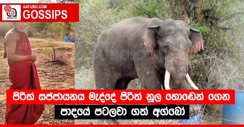 පිරිත් සජ්ජායනය මැද්දේ පිරිත් නූල හොඬෙන් ගෙන පාදයේ පටලවා ගත් අග්බෝ - කවුරුත් නොසිතූ දර්ශනය