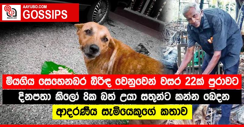 මියගිය සෙහෙනබර බිරිඳ වෙනුවෙන් වසර 22ක් පුරාවට දිනපතා කිලෝ 8ක බත් උයා සතුන්ට කන්න බෙදන ආදරණීය සැමියෙකුගේ කතාව 