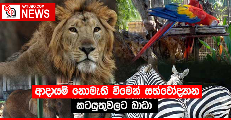 ආදායම් නොමැති වීමෙන් සත්වෝද්‍යාන කටයුතුවලට බාධා