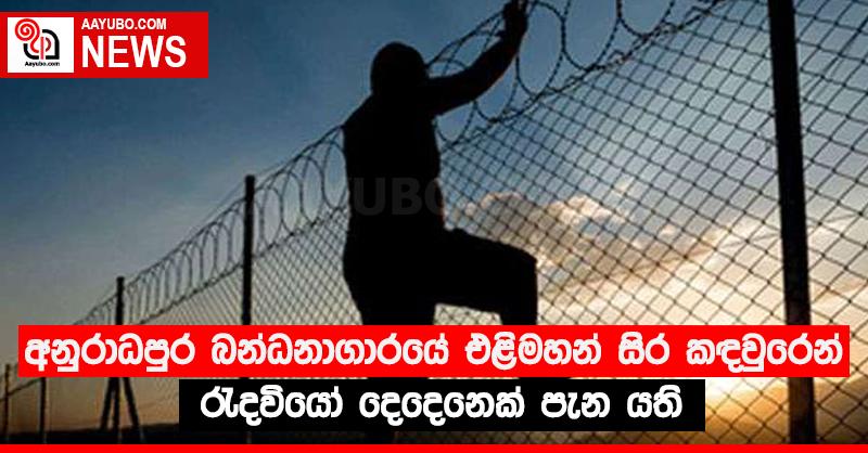 අනුරාධපුර බන්ධනාගාරයේ එළිමහන් සිර කඳවුරෙන් රැදවියෝ දෙදෙනෙක් පැන යති