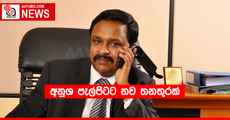 අනුශ පැල්පිටට නව තනතුරක්