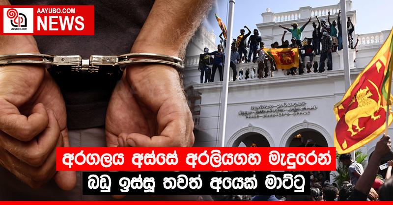 අරගලය අස්සේ අරලියගහ මැදුරෙන් බඩු ඉස්සූ තවත් අයෙක් මාට්ටු