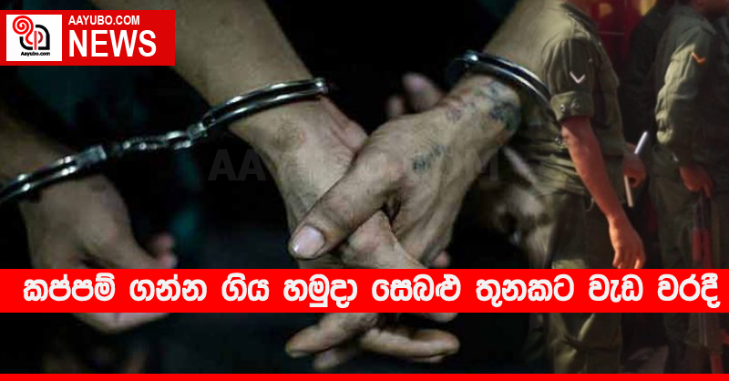 කප්පම් ගන්න ගිය හමුදා සෙබළු තුනකට වැඩ වරදී