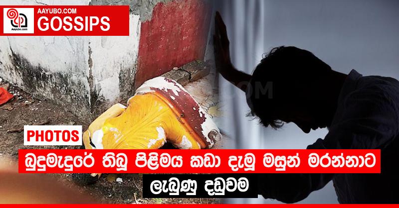 බුදුමැදුරේ තිබූ පිළිමය කඩා දැමූ මසුන් මරන්නාට ලැබුණු දඩුවම (PHOTOS)