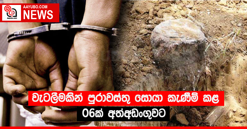 වැටලීමකින් පුරාවස්තු සොයා කැණීම් කළ 06ක් අත්අඩංගුවට