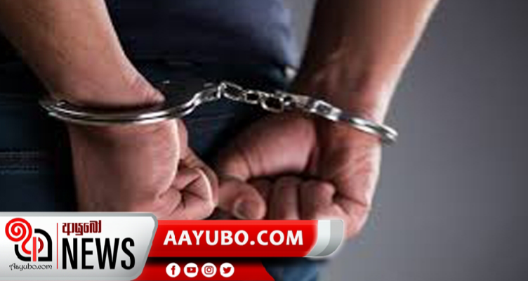 වෙඩි තබා බල්ලෙකු මැරූ බව කියන විශ්‍රාමික පොලිස් අධිකාරීවරයෙක් අත්අඩංගුවට