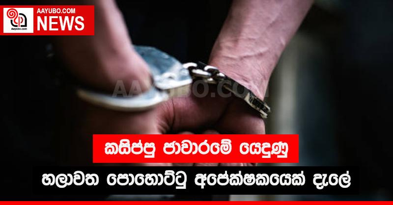 කසිප්පු ජාවාරමේ යෙදුණු හලාවත පොහොට්ටුව අපේක්ෂකයෙක් දැලේ