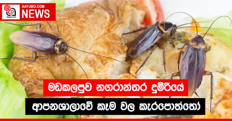 මඩකලපු නාගරාන්තර දුම්රියේ ආපනශාලාවේ කෑම වල කැරපොත්තෝ 