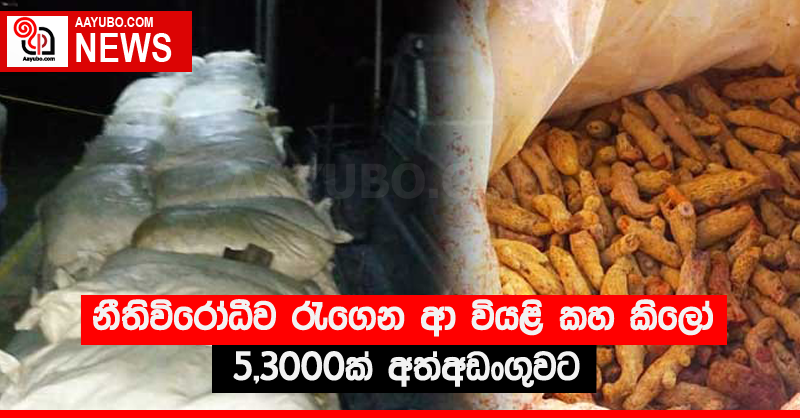 නීතිවිරෝධීව රැගෙන ආ වියළි කහ කිලෝ 5,3000ක් අත්අඩංගුවට