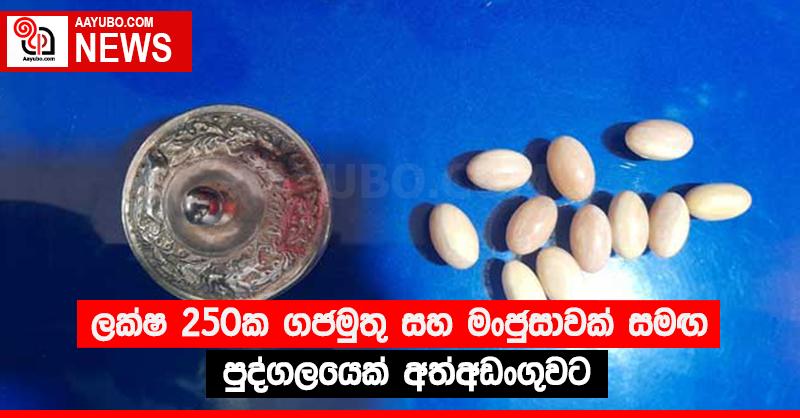 ලක්ෂ 250ක ගජමුතු සහ මංජුසාවක් සමඟ පුද්ගලයෙක් අත්අඩංගුවට