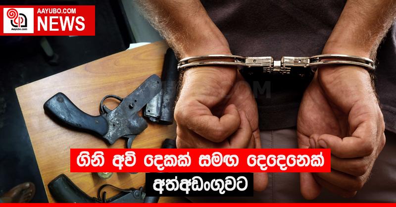 ගිනි අවි දෙකක් සමඟ දෙදෙනෙක් අත්අඩංගුවට