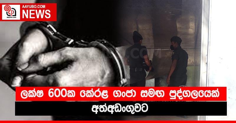 ලක්ෂ 600ක කේරළ ගංජා සමඟ පුද්ගලයෙක් අත්අඩංගුවට