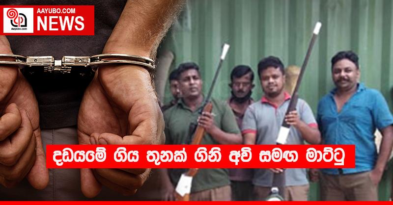 දඩයමේ ගිය තුනක් ගිනි අවි සමඟ මාට්ටු