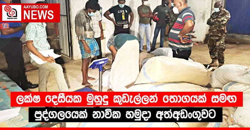 ලක්ෂ දෙසීයක මුහුදු කූඩැල්ලන් තොගයක් සමඟ පුද්ගලයෙක් නාවික හමුදා අත්අඩංගුවට