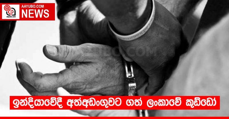 ඉන්දියාවේදී අත්අඩංගුවට ගත් ලංකාවේ කුඩ්ඩෝ 