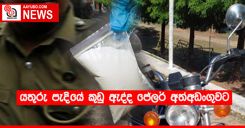 යතුරු පැදියේ කුඩු ඇද්ද ජේලර් අත්අඩංගුවට