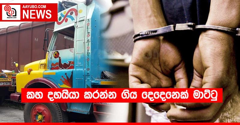 කහ දහයියා කරන්න ගිය දෙදෙනෙක් මාට්ටු