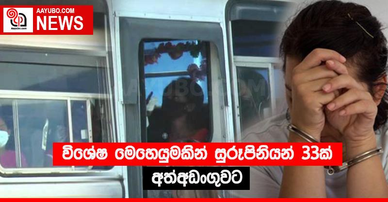 විශේෂ මෙහෙයුමකින් සුරූපිනියන් 33ක් අත්අඩංගුවට