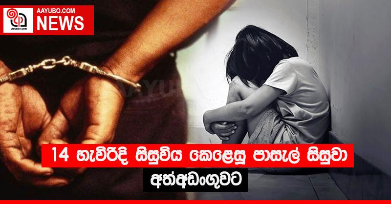 14 හැවිරිදි සිසුවිය කෙළෙසූ පාසැල් සිසුවා අත්අඩංගුවට